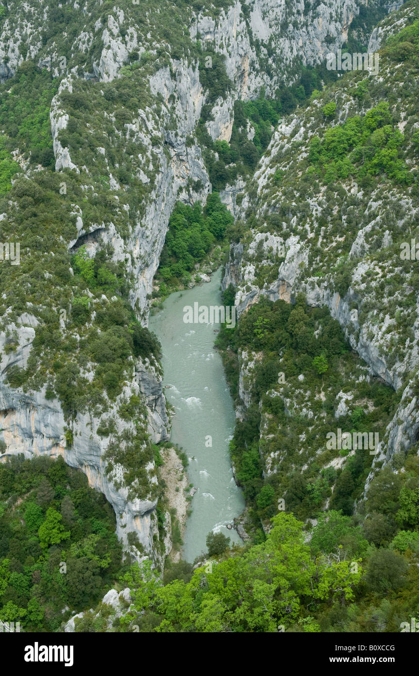 Gorges du Verdon, le grand canyon français, Provence, France Banque D'Images