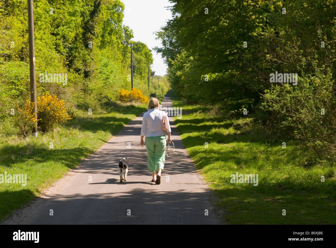 Woman Walking Dog sur Chemin de campagne à Dunwich, Suffolk, UK Banque D'Images