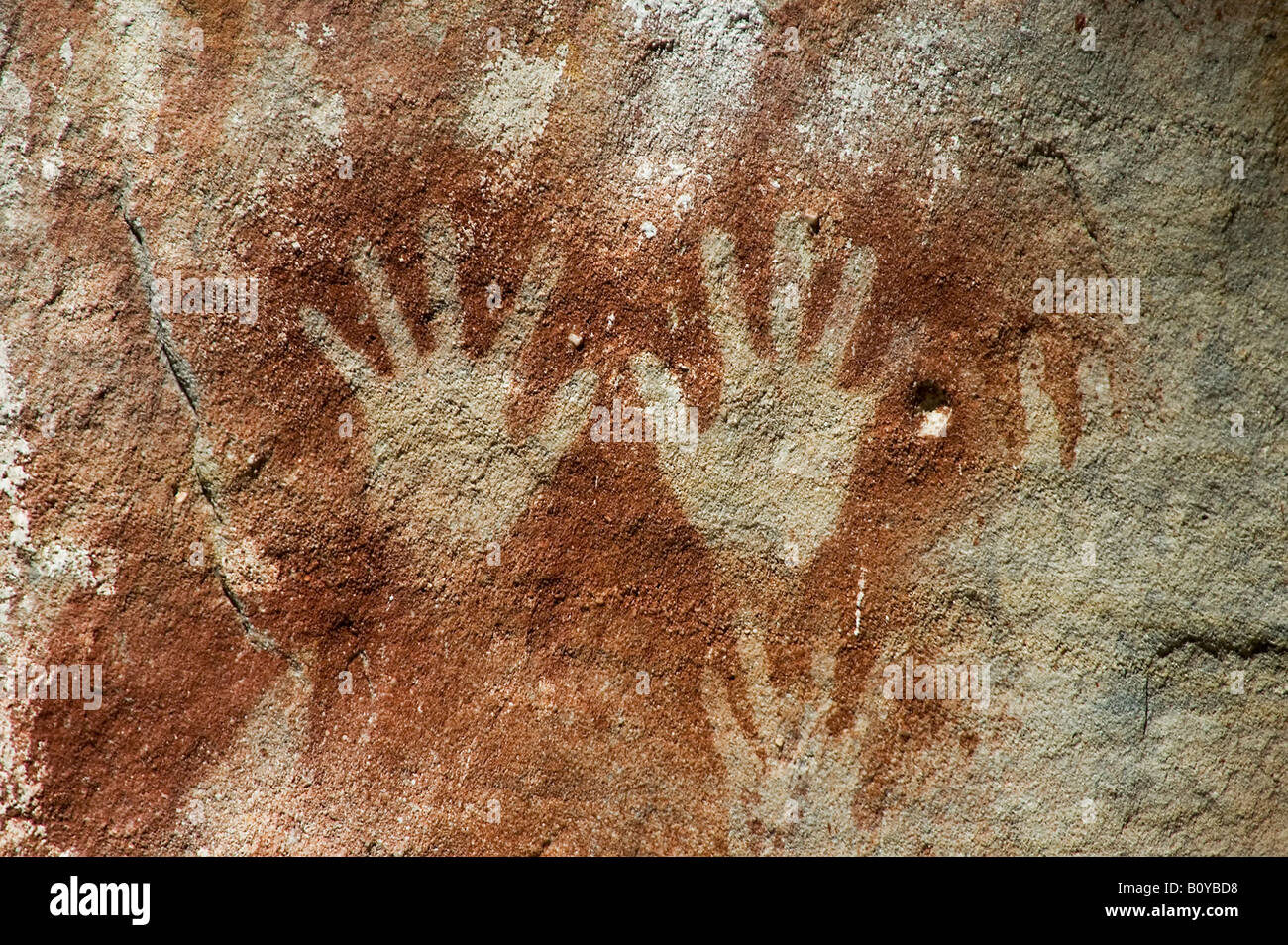 Peintures aborigènes en Carnarvon National Park, Australie, Queensland, Carnarvon National Park Banque D'Images