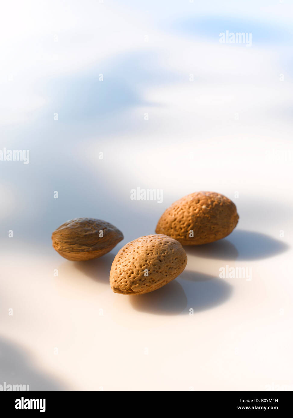 Trois amandes, (Prunus dulcis), close up Banque D'Images