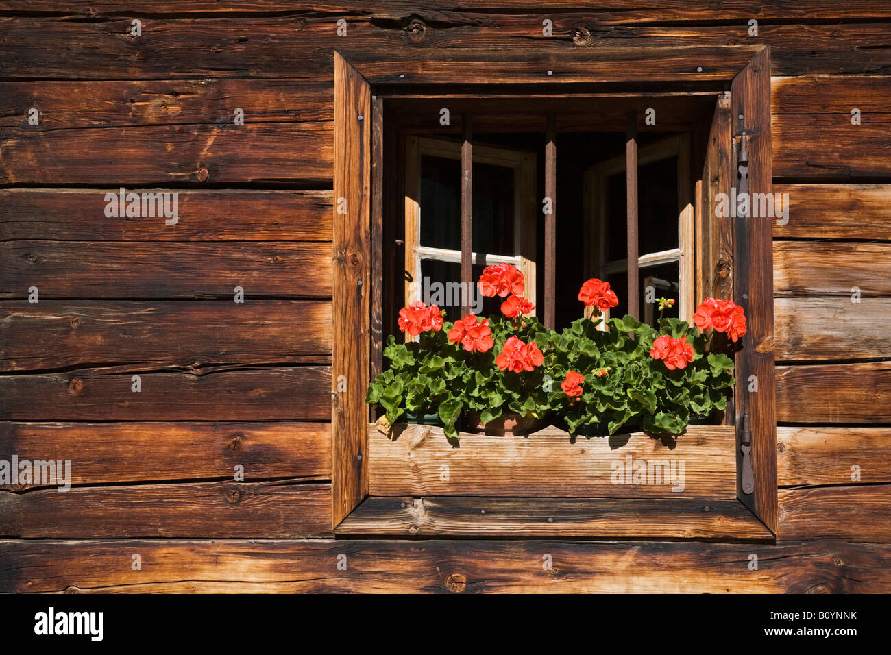 Autriche, Tyrol, Karwendel, fenêtre avec boite à fleurs Banque D'Images