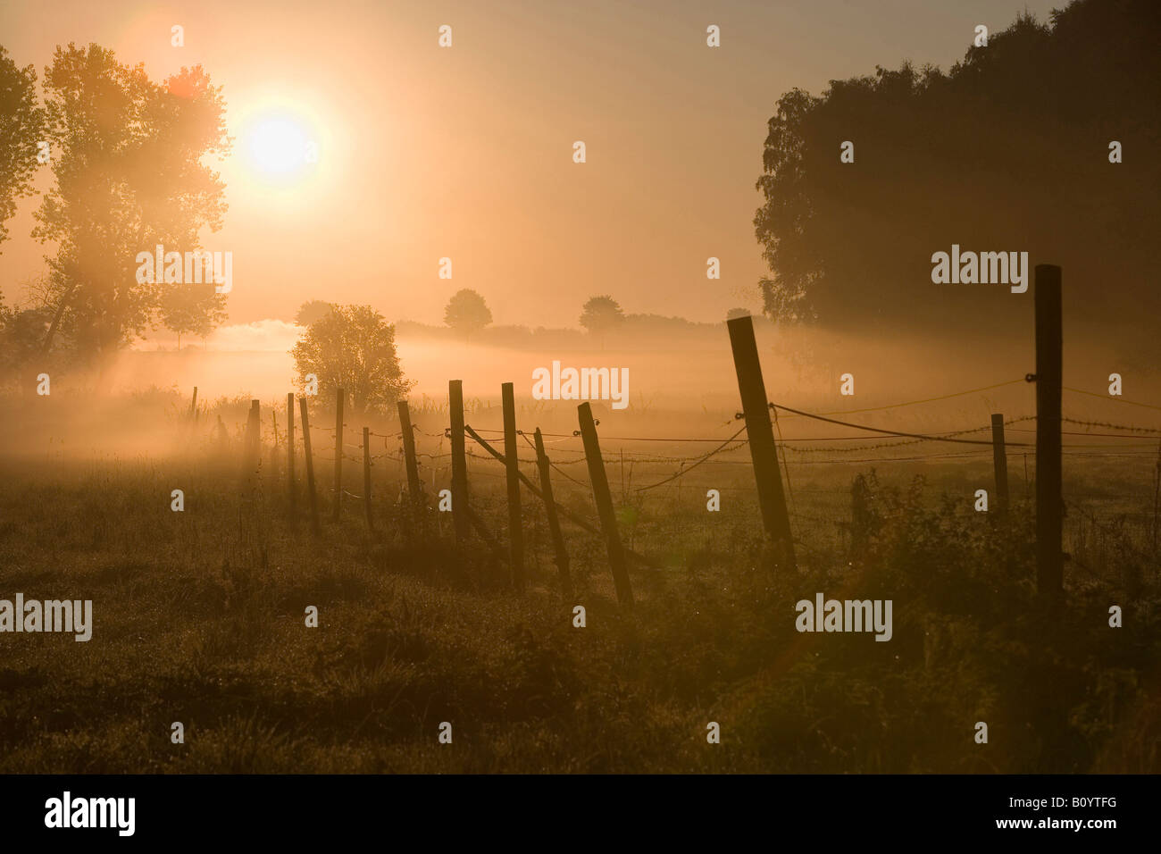 Allemagne, Sunrise Banque D'Images