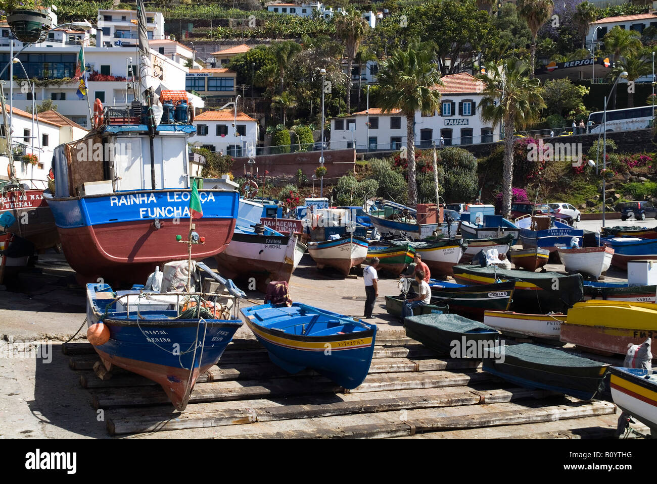 dh CAMARA DE LOBOS MADEIRA des bateaux de pêche colorés ont été pêchés sur le port de plaisance de la cale Banque D'Images