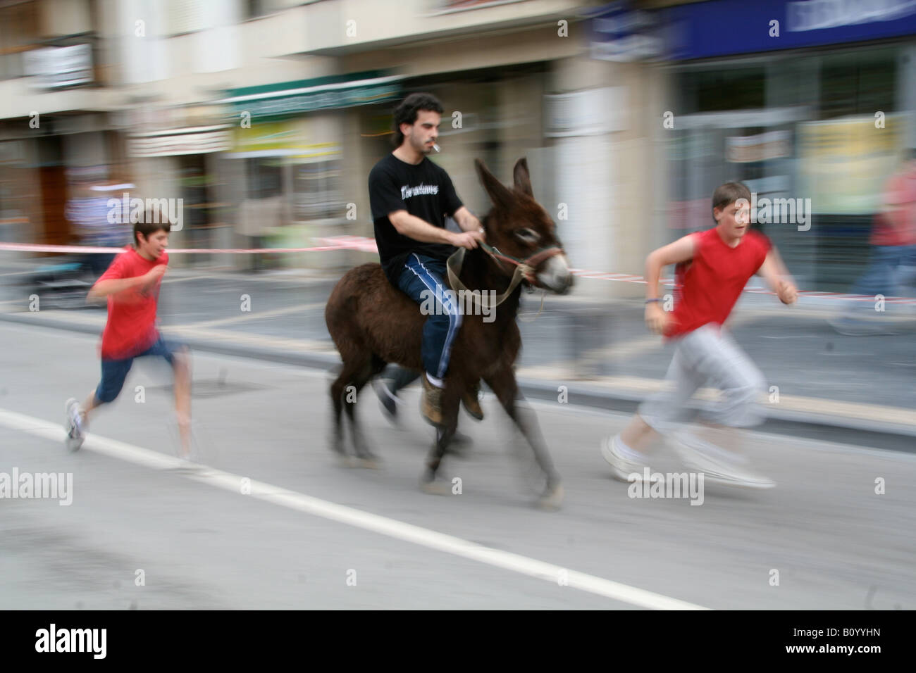 La race de l'âne dans le Nord de l'Espagne Pays Basque Banque D'Images