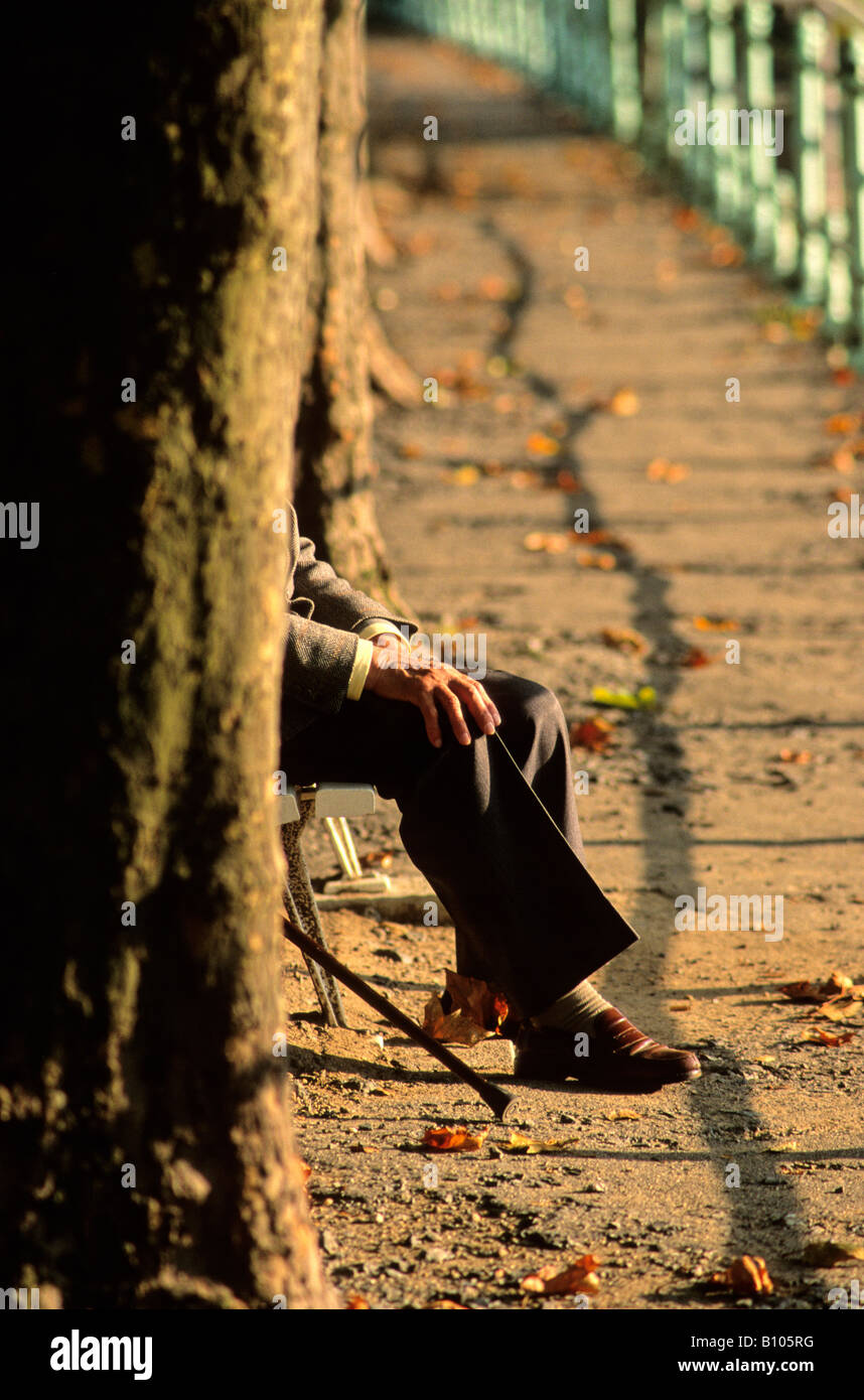 Vieil homme avec un bâton de marche assis sur un banc de parc dans la lumière du soir Banque D'Images