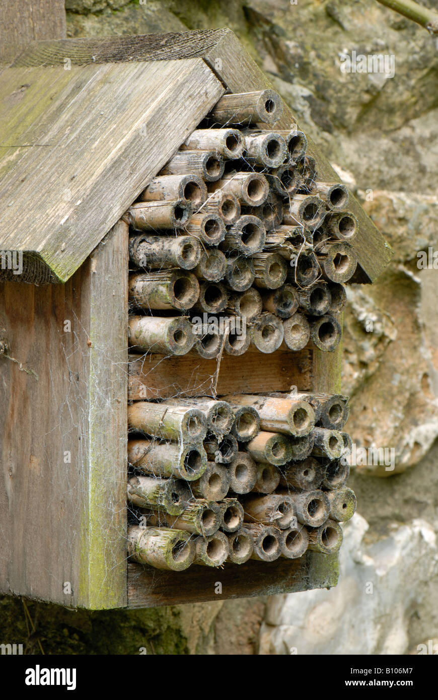 Insectes en bois fort avec orifices circulaires de bambous pour l'hibernation des insectes d'hiver logement Banque D'Images