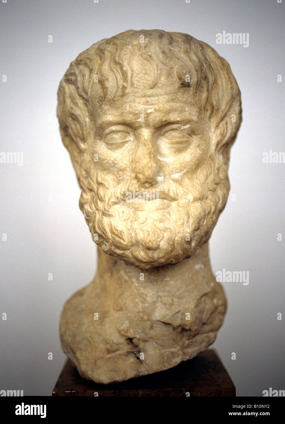 Tête d'Aristote. Phiosopher grec Banque D'Images