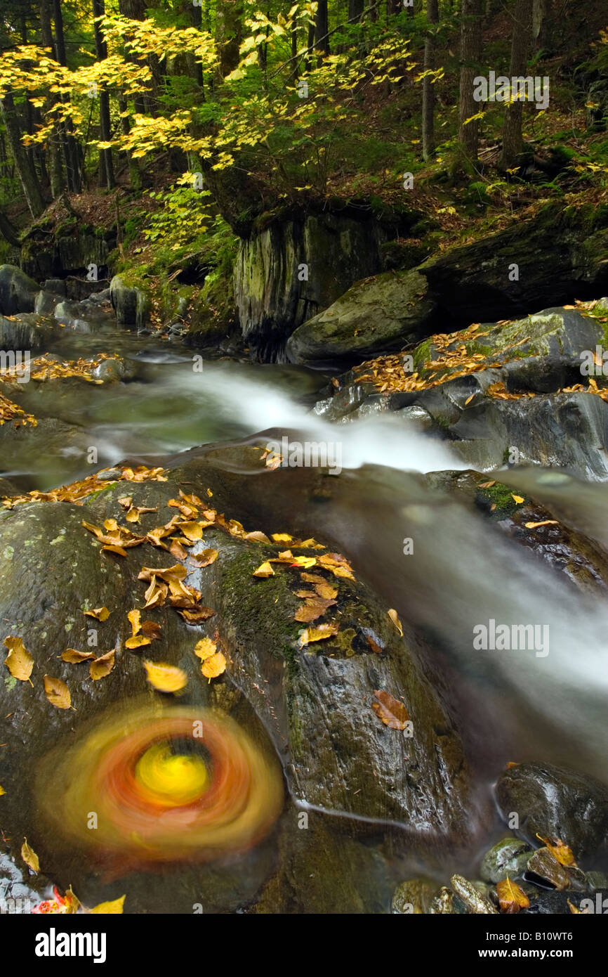 La couleur en automne le long d'Hancock Brook, Worcester, VT, USA Banque D'Images