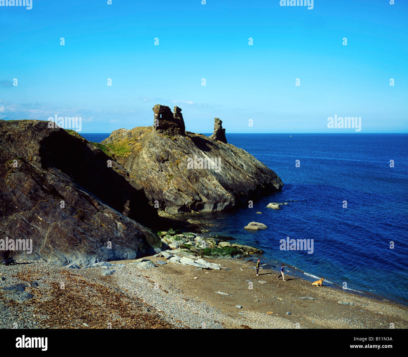 Black Castle, Wicklow Head, comté de Wicklow, Irlande Banque D'Images