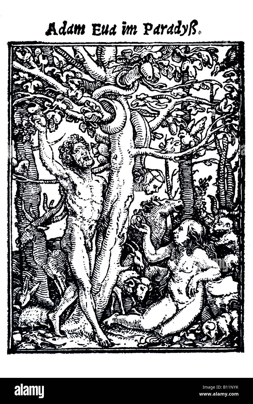 Adam et Eve au paradis, Hans Holbein le Jeune, Danse Macabre, 1538, Allemagne Banque D'Images