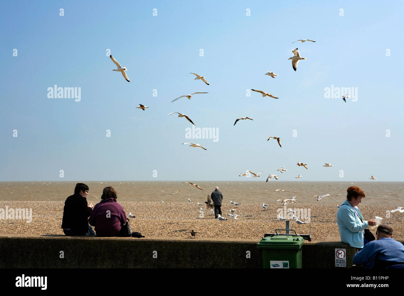 UK Angleterre Suffolk Aldeburgh mouettes autour de personnes qui mangent du poisson et des frites sur la plage Banque D'Images