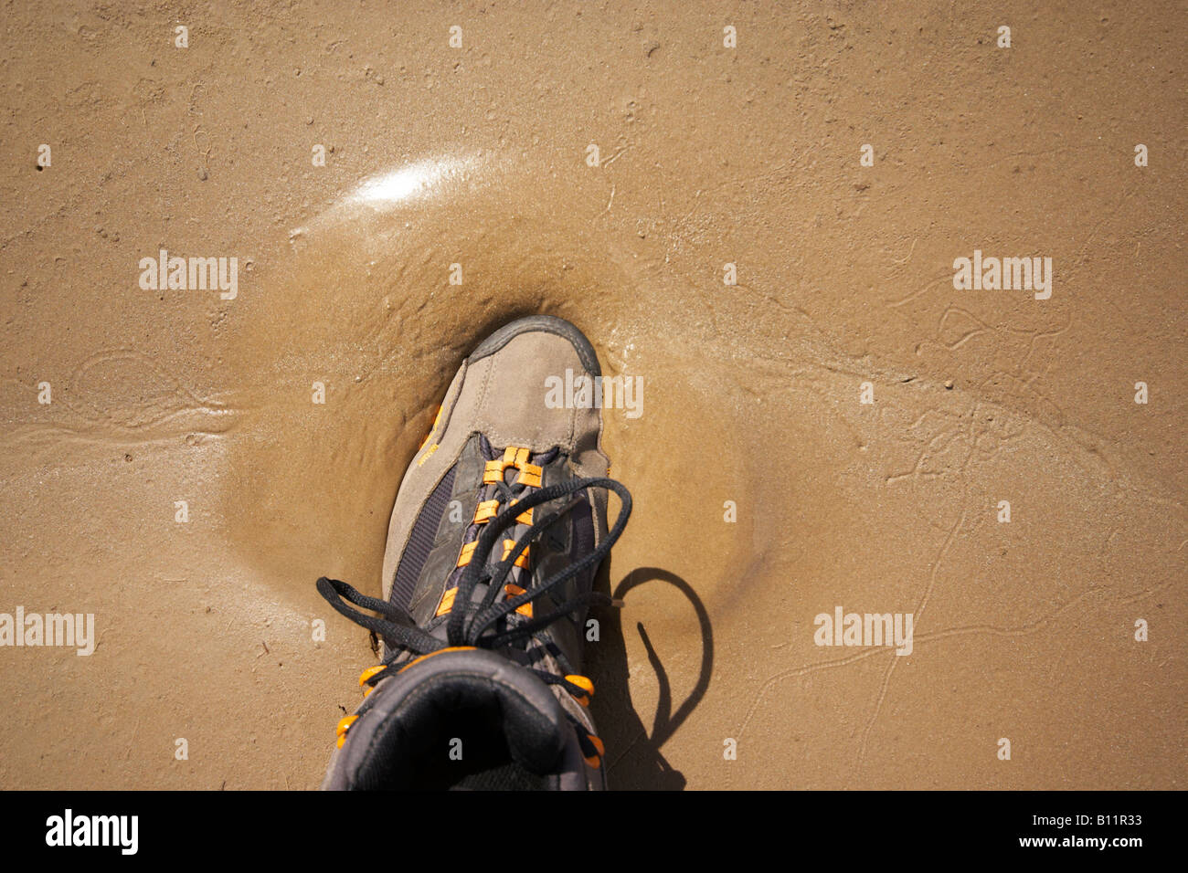 Pied s'enfoncer dans les sables mouvants de l'estuaire à Arnside Beach sur la rivière Kent dans le Lancashire en Angleterre Banque D'Images