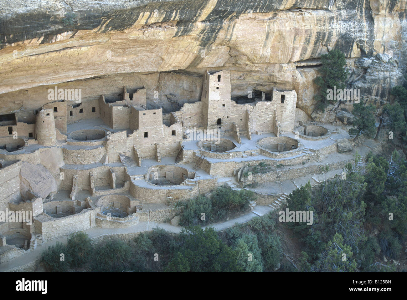 Cliff Palace ruines Anasazi Mesa Verde National Park Colorado USA Banque D'Images