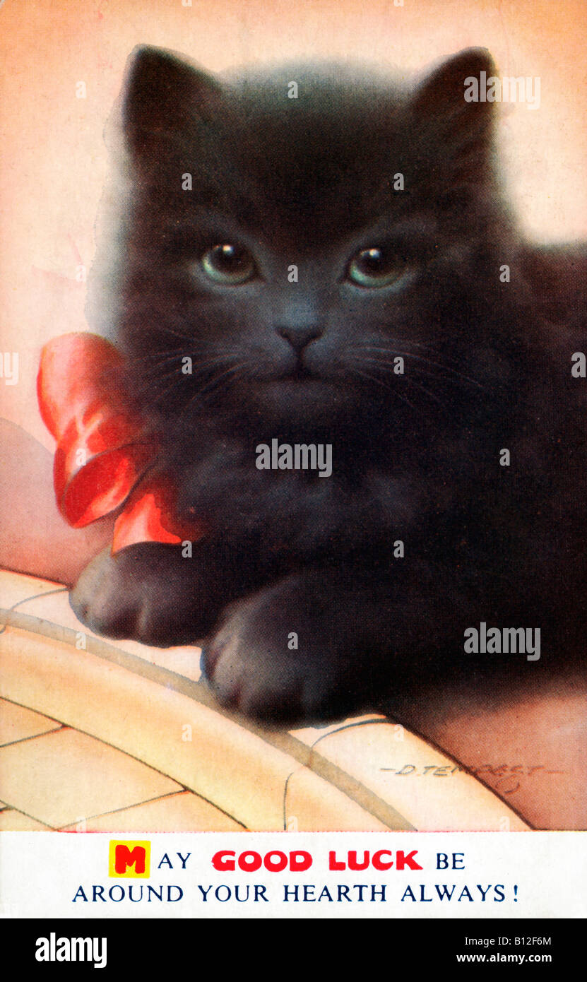 Bonne chance Cat 1950 Carte postale avec un chat noir au premier plan et un joli noeud de soie rouge pour compléter l'ensemble Banque D'Images