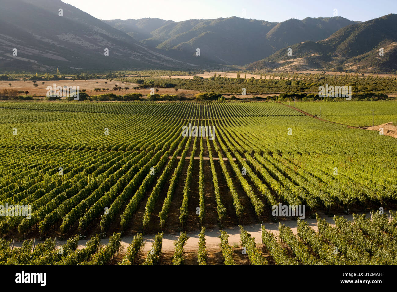 VINA SANTA CRUZ WINERY vallée de Colchagua CHILI Banque D'Images