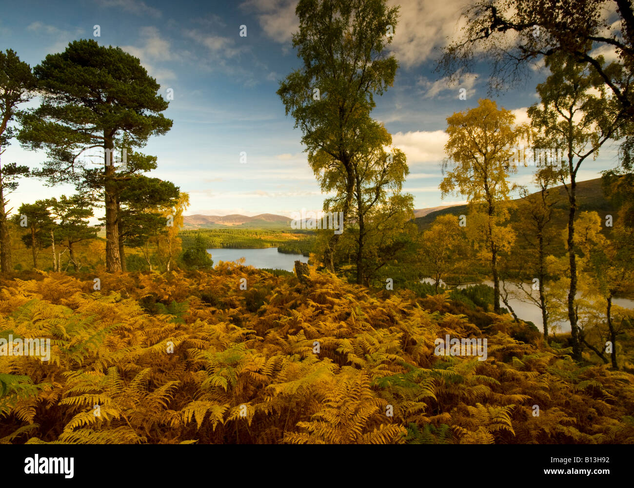 Paysage d'automne, Rothiemurchus Forest et Loch an Eilein Banque D'Images