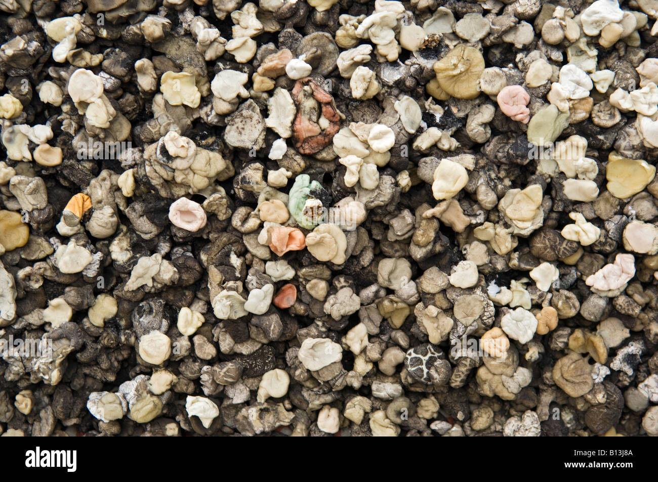Des centaines d'utilisé des morceaux de chewing-gum et mégots de cigarette collé à un signe. Pont ferroviaire de Piazzale Roma, Venise, Italie Banque D'Images