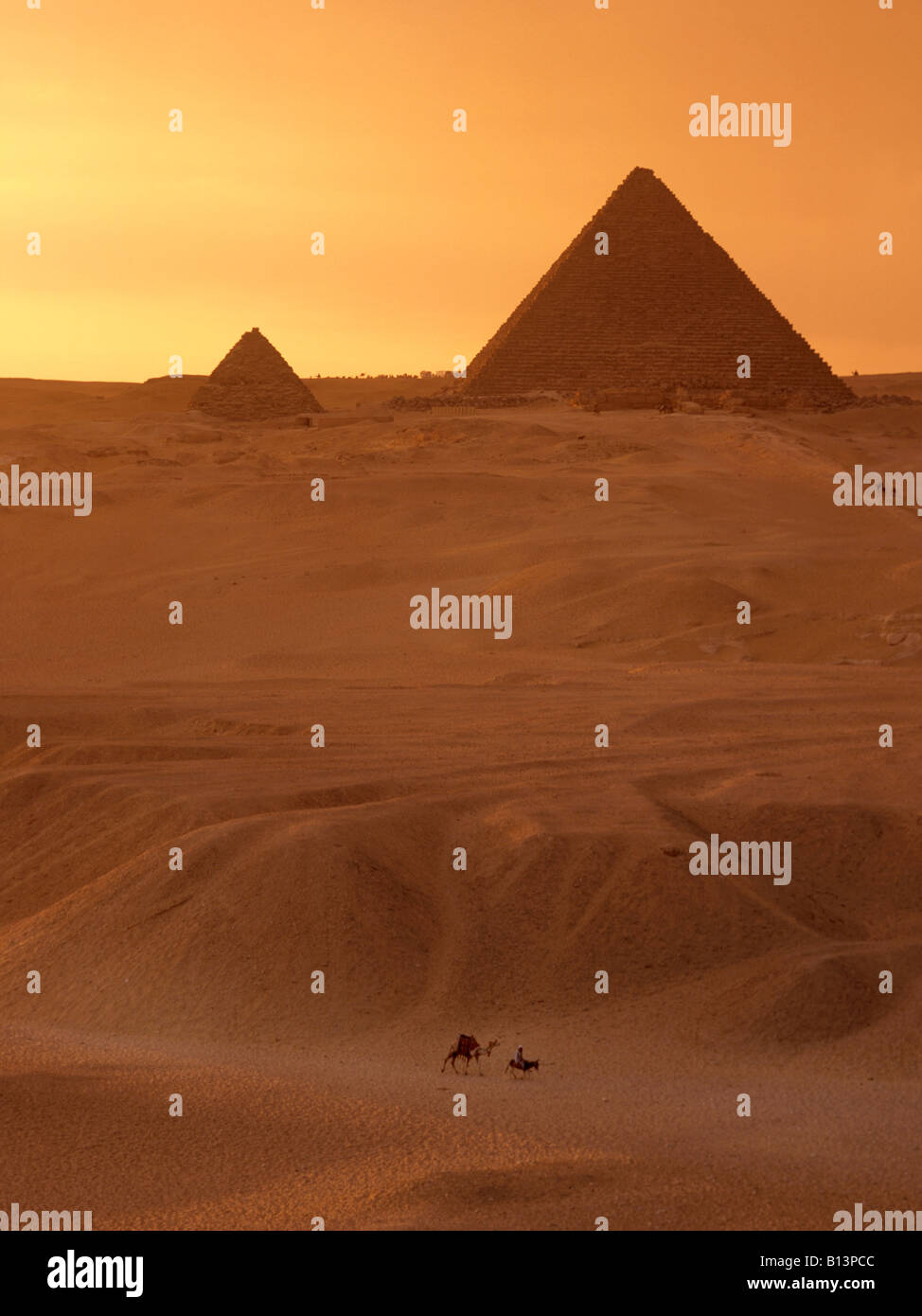 Pyramides de Gizeh, Le Caire, Égypte avec lone camel et âne Banque D'Images