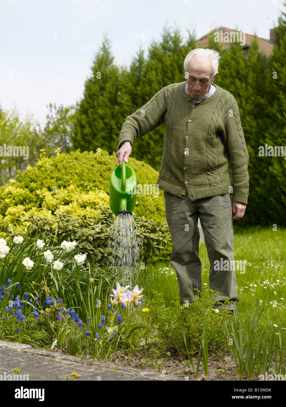 Vieil homme d'arroser les fleurs dans son jardin Banque D'Images