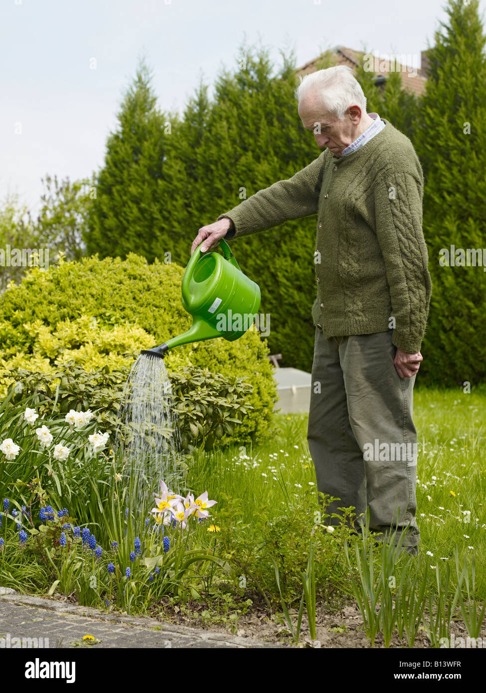 Vieil homme d'arroser les fleurs dans son jardin Banque D'Images