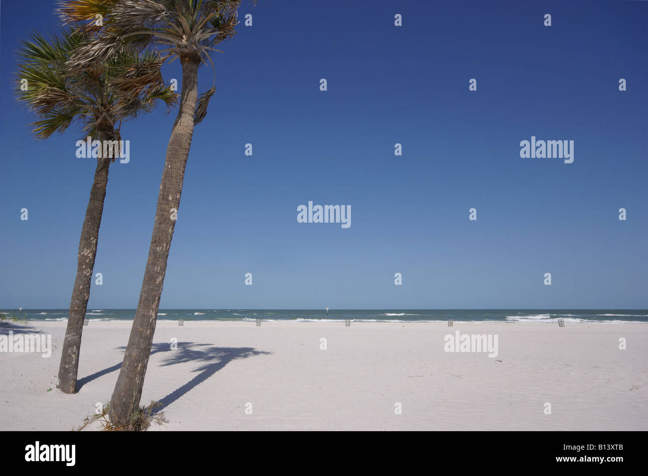 Scène de plage avec des palmiers à la plage de Clearwater, Floride, mai 2008 Banque D'Images