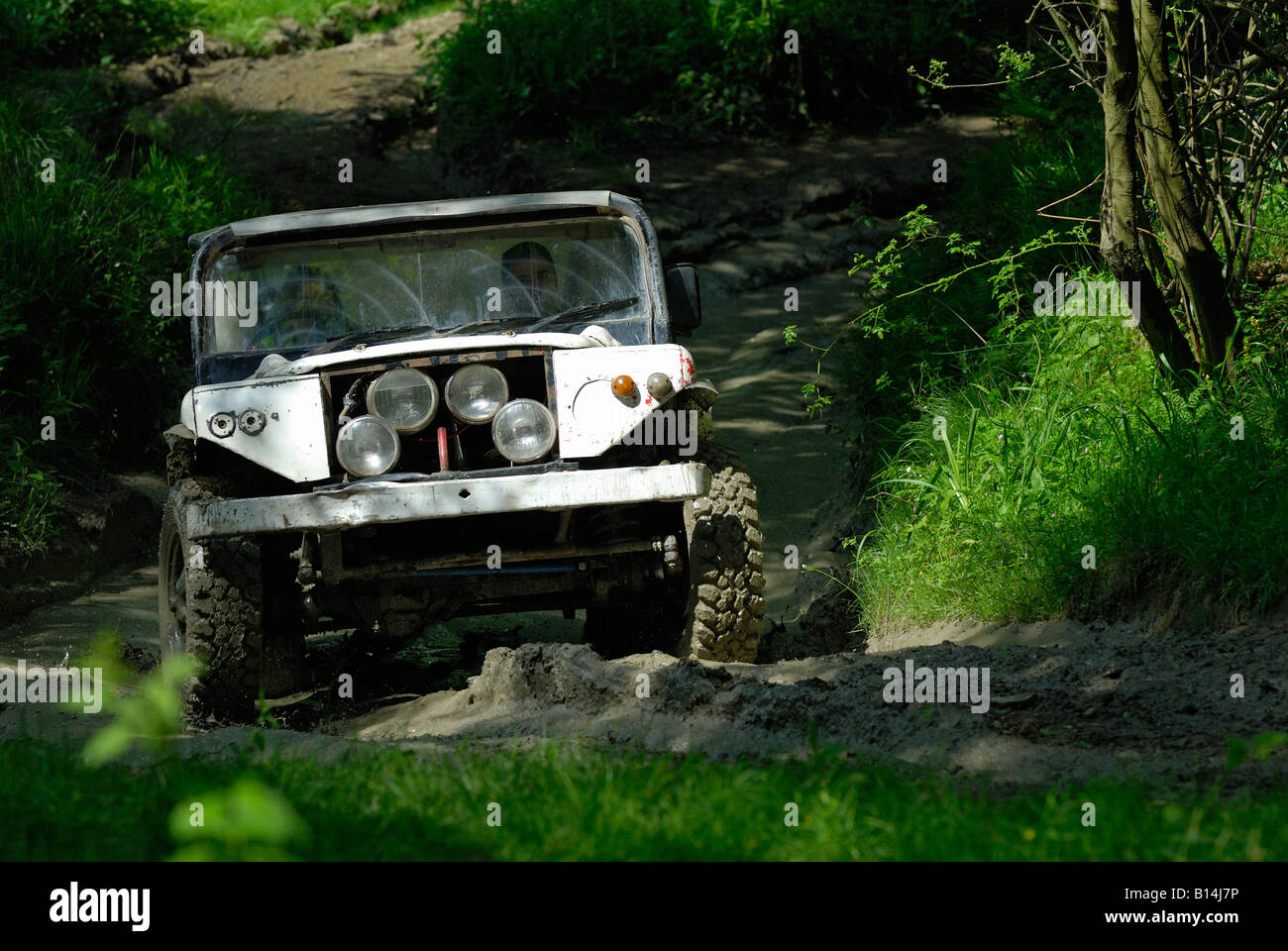 Land Rover tout-terrain basé à la compétition de l'ALRC RTV 2008 National procès. Banque D'Images