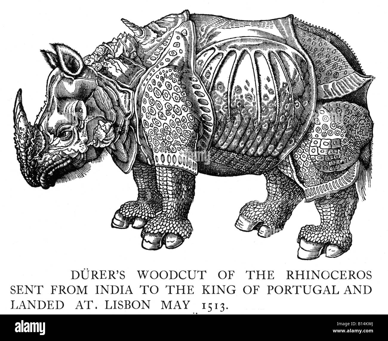 Rhinoceros Durers woodcut de rhinocéros de l'Inde a atterri à Lisbonne 1513 gravée d'après un croquis envoyé à l'artiste Banque D'Images Rhinoceros Durers woodcut de rhinocéros de l'Inde a atterri à Lisbonne 1513 gravée d'après un croquis envoyé à l'artiste Banque D'Images