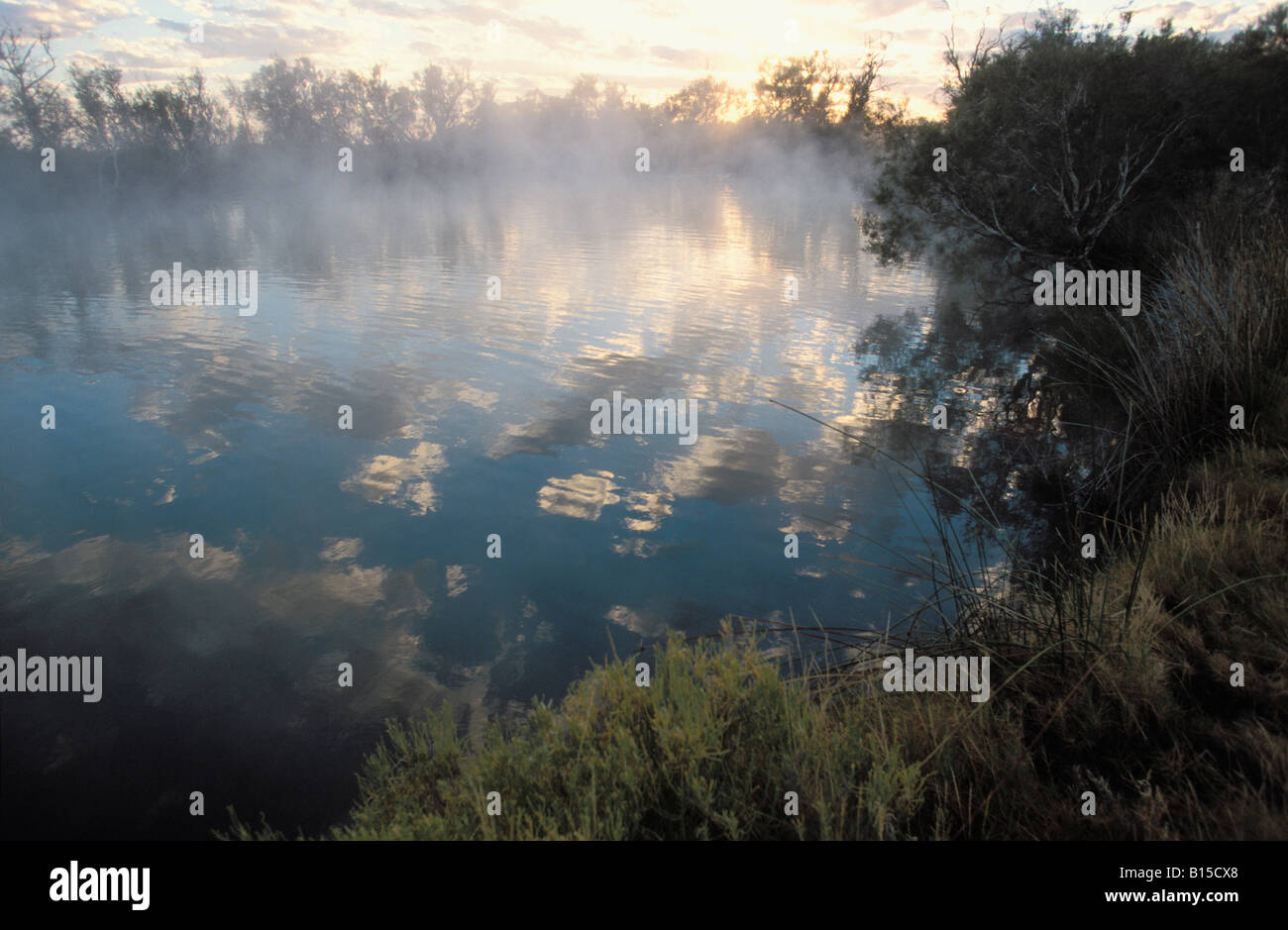 Lever du soleil sur les eaux minérales chaudes de Dalhousie Springs Parc National Witjira Simpson Desert Australie Australie du Sud Banque D'Images