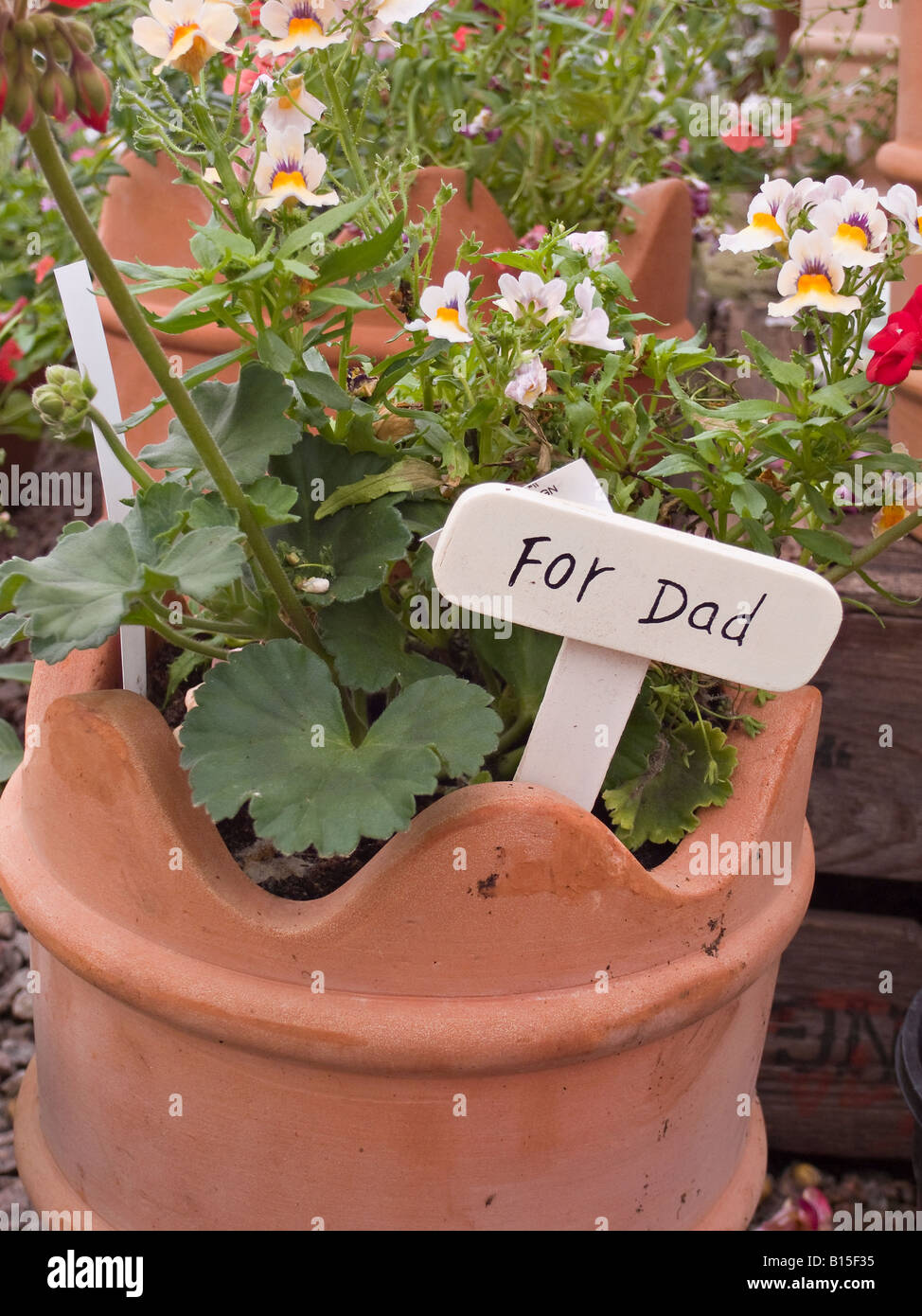 Idée cadeau pour la Fête des Pères Banque D'Images