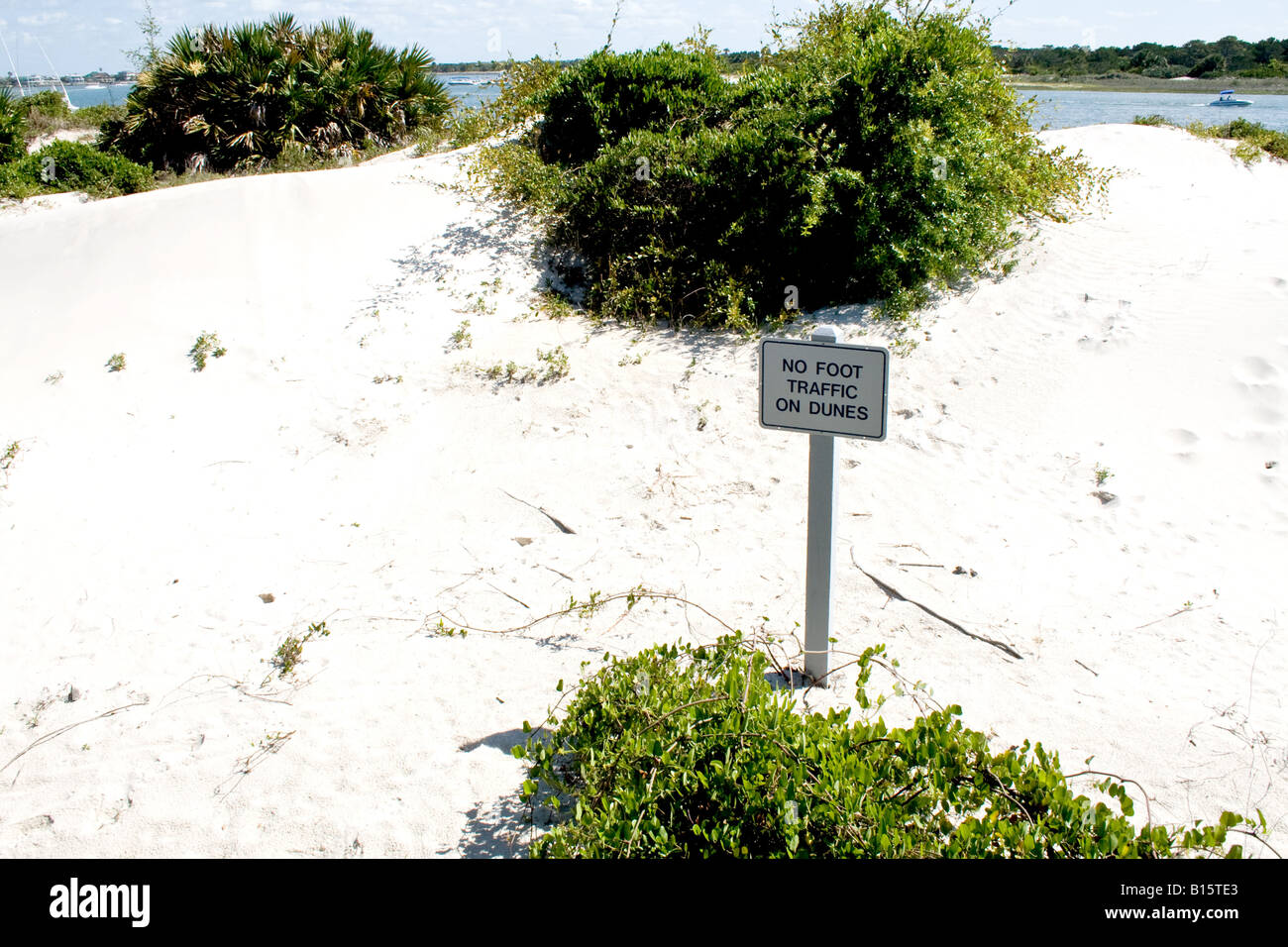 Signer sur une dune de sable partiellement couvert avec brosse près de Fort Matanzas, Floride Banque D'Images