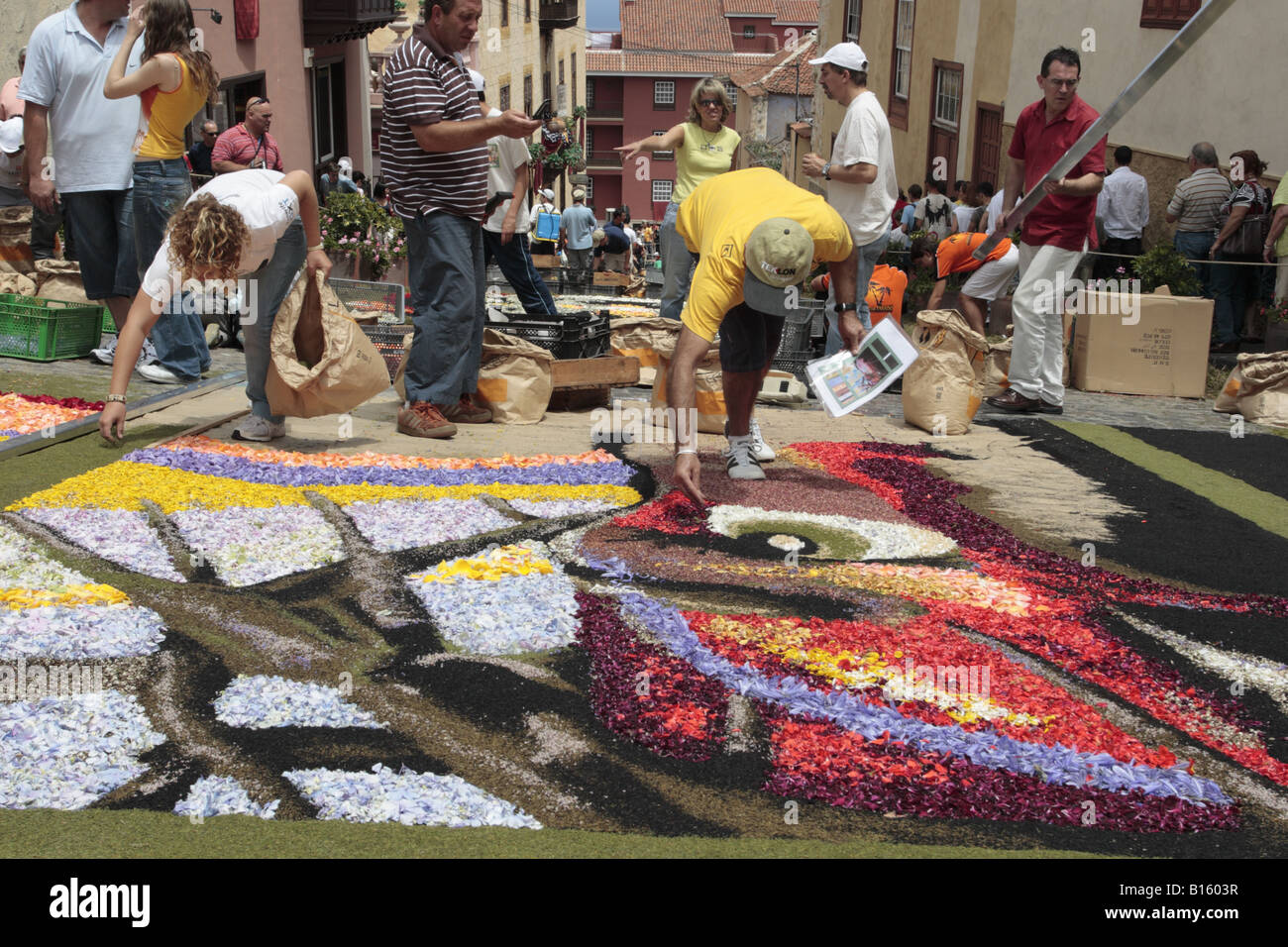 Faire le tapis de fleurs des pétales et graines de sable d'origine  volcanique pour célébrer Corpus Christi de La Oratava, Tenerife Photo Stock  - Alamy
