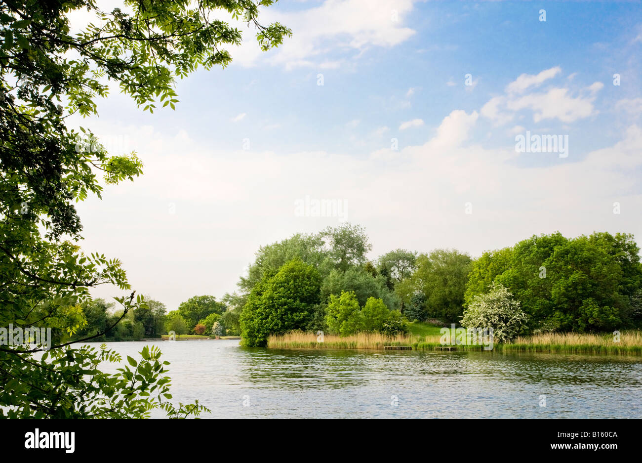Le lac sur une journée ensoleillée en été à Coate Water Country Park, une réserve naturelle locale près de Swindon, Wiltshire, England, UK Banque D'Images