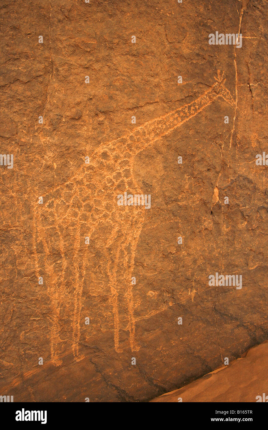 Préhistoire de l'Ahaggar (Algérie). L'art rupestre de la Téfedest. main image 0