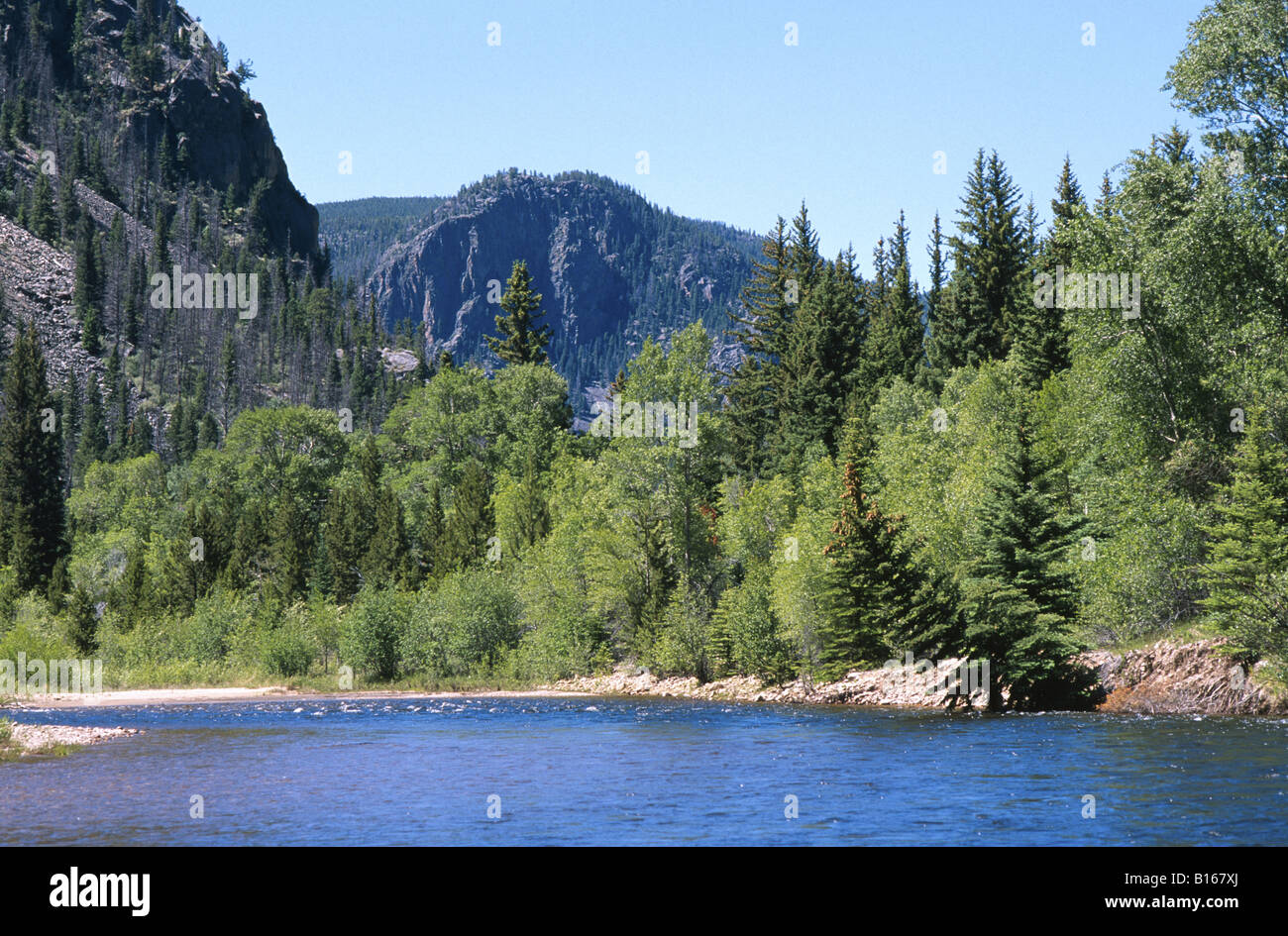 La Poudre Cache River Colorado USA Banque D'Images