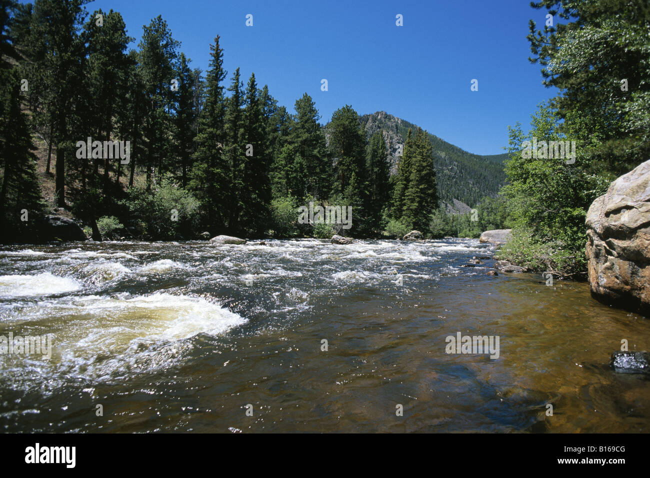 La Poudre Cache River Colorado USA Banque D'Images