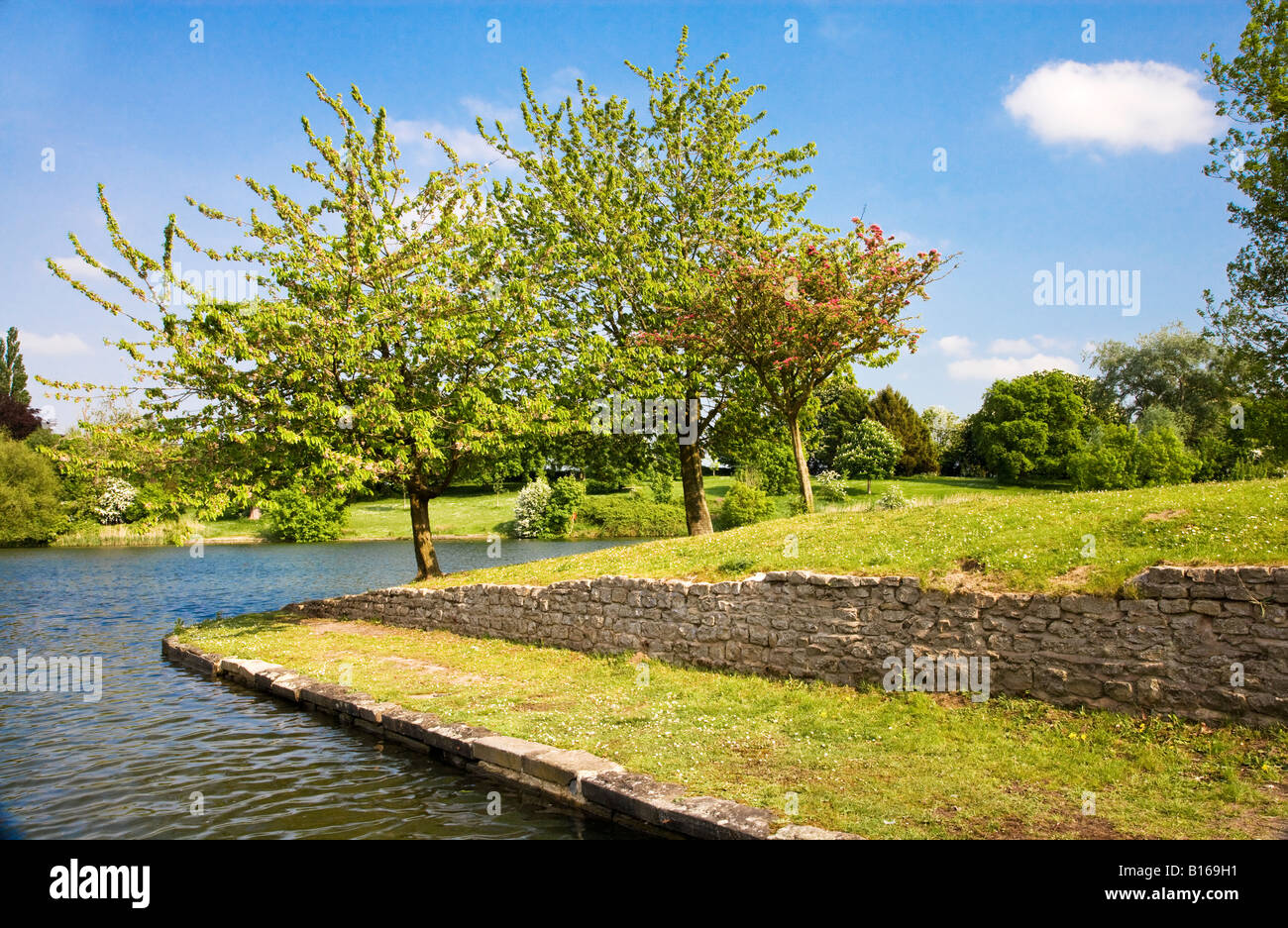 Le lac sur une journée ensoleillée en été à Coate Water Country Park, une réserve naturelle locale près de Swindon, Wiltshire, England, UK Banque D'Images