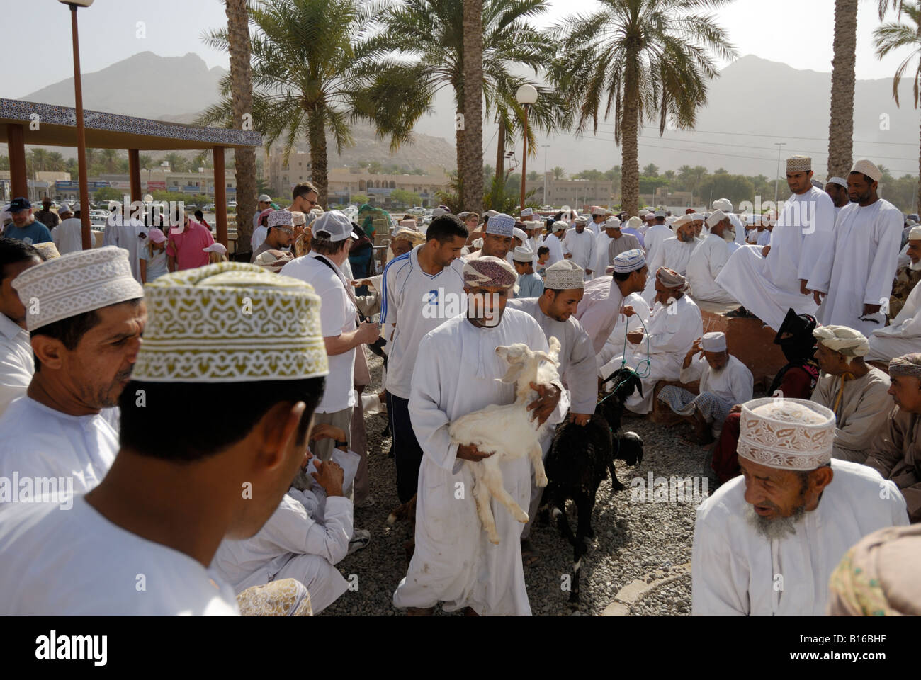 Le marché des animaux hebdomadaire ou souk dans la ville de Nizwa, Sultanat d'Oman Banque D'Images