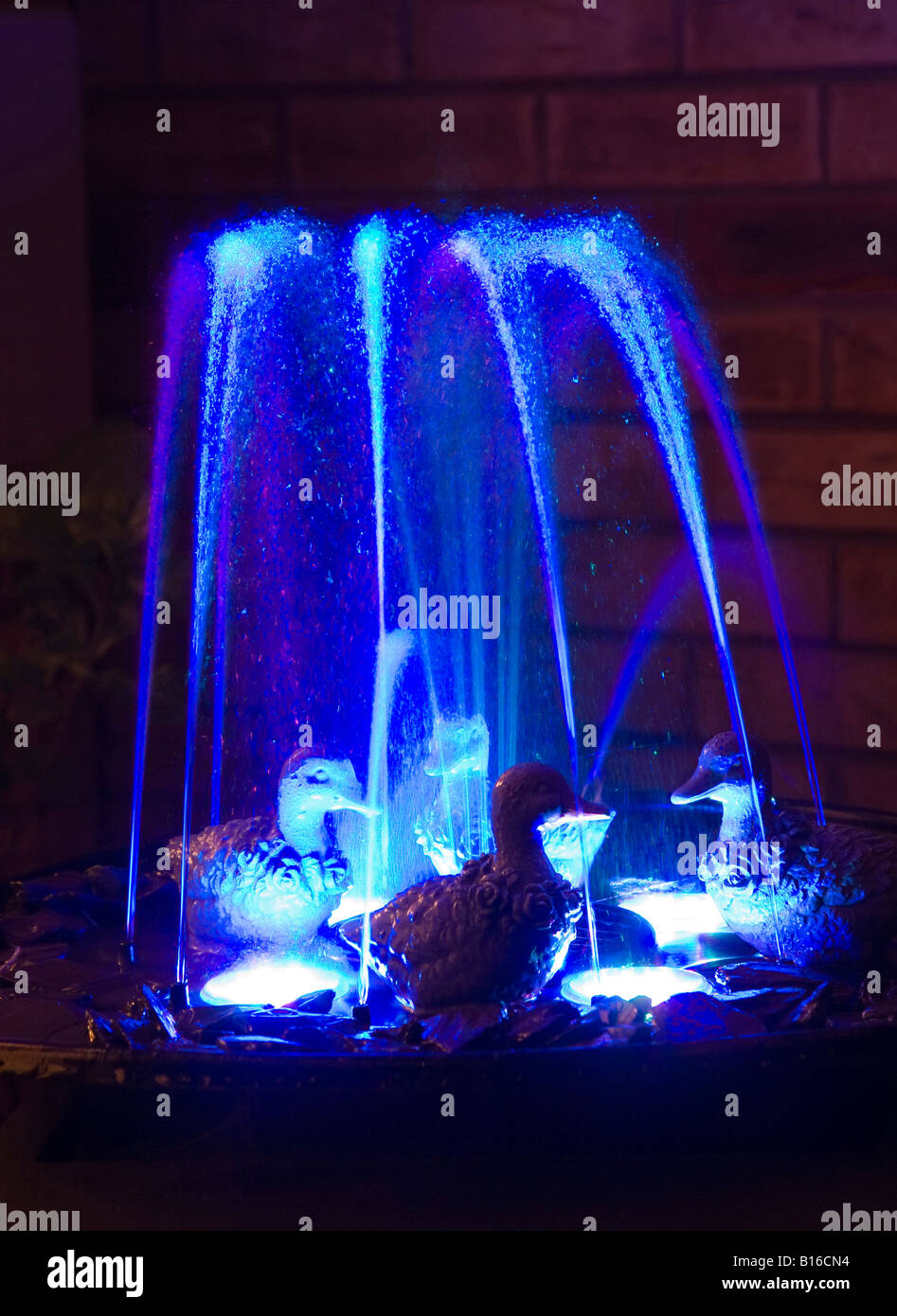 Fontaine de jardin la nuit Banque D'Images