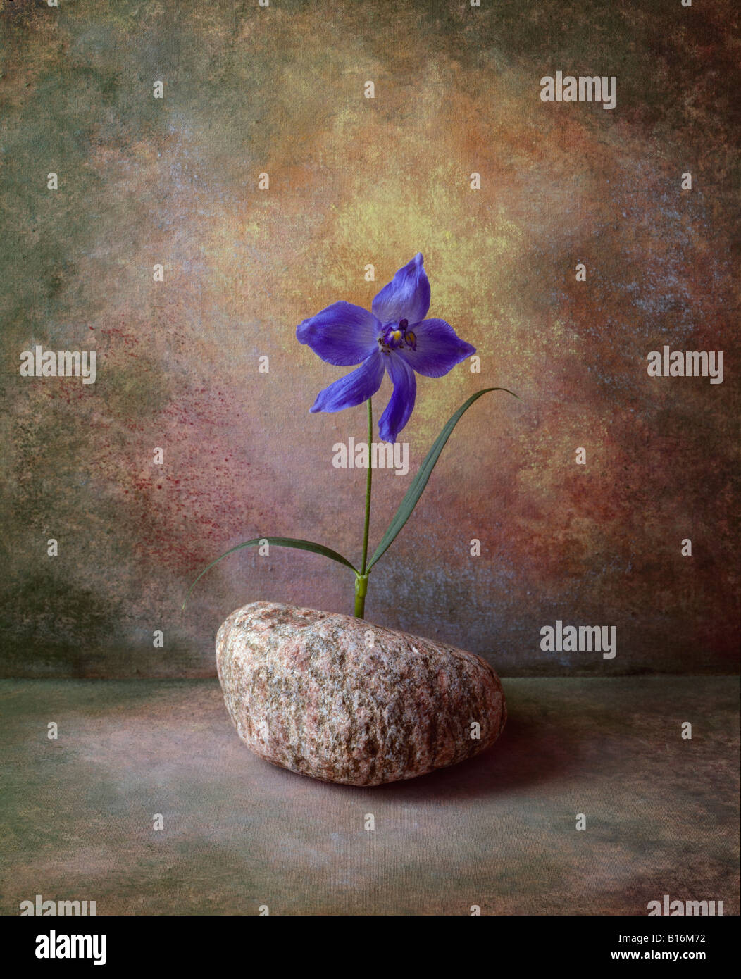 6 d'une série de couleur de format portrait photo celle-ci est de lilas dans un vase de fleurs sur un fond peint à la main verte Banque D'Images