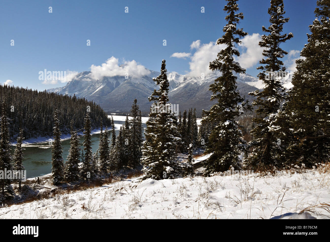 Un paysage d'hiver Banque D'Images