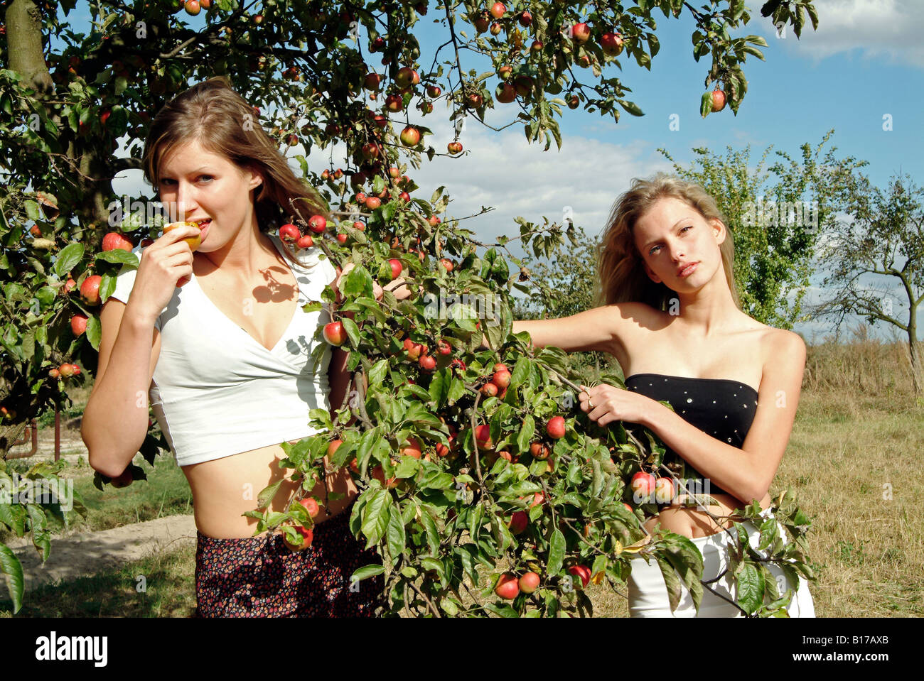 Deux jeunes filles polonaise tout de manger des pommes de l'arbre dans le verger Banque D'Images