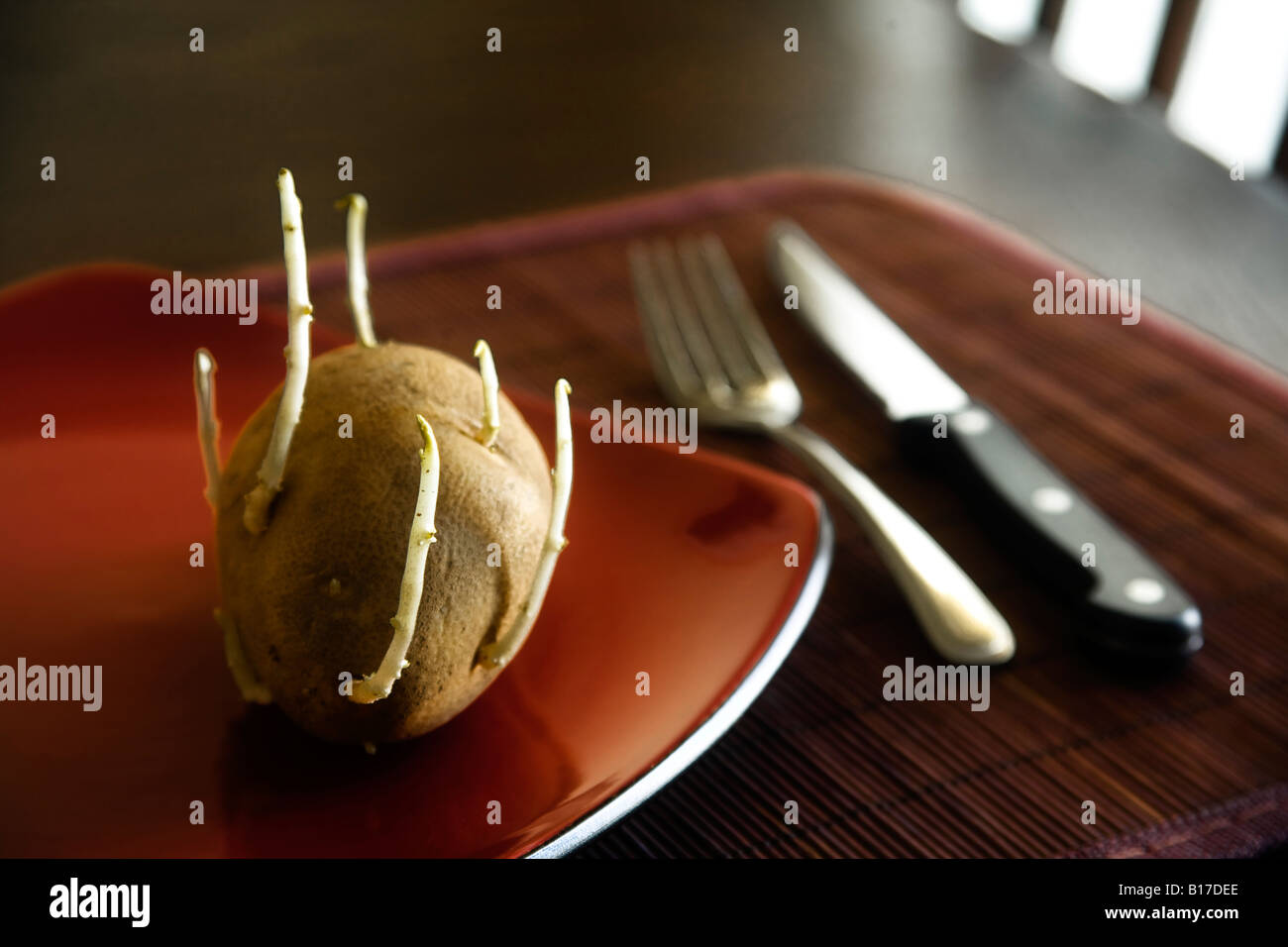 Vieille pomme de terre de germination sur la plaque Banque D'Images