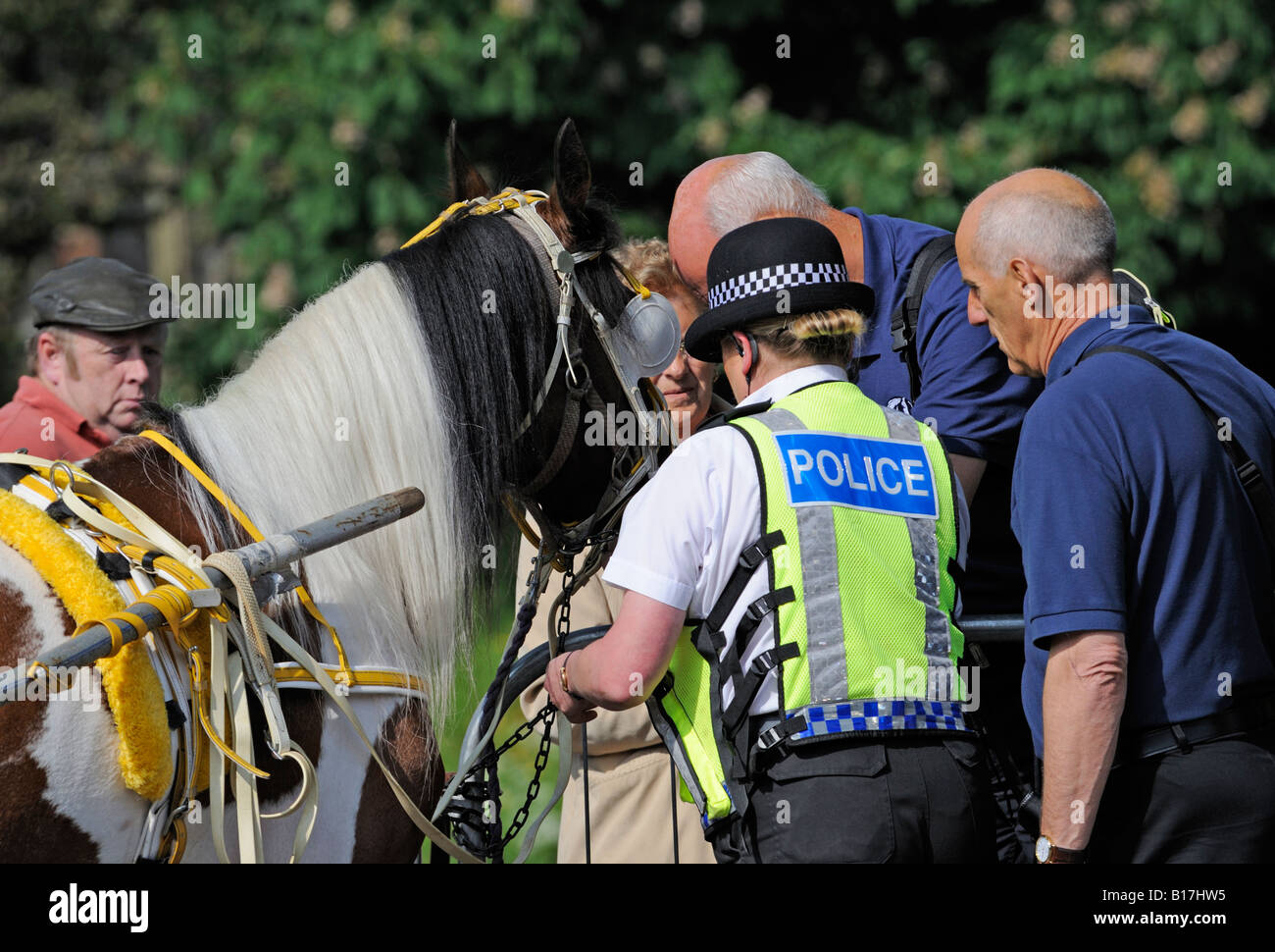 Une policière à la rescousse à Appleby Horse Fair. Appleby-in-Westmorland, Cumbria, Angleterre, Royaume-Uni, Europe. Banque D'Images