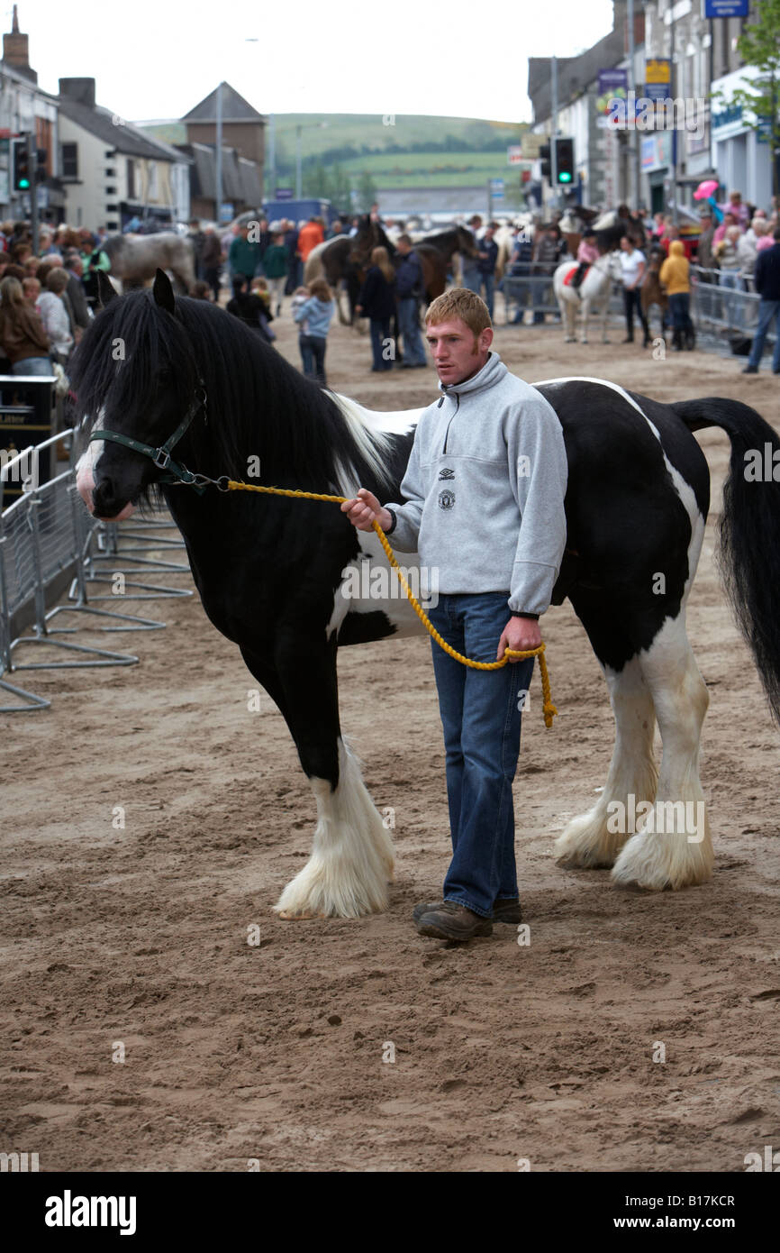 L'homme à la tête d'un cheval sur le sable couverts rue principale au cours de la foire du cheval à l'ballyclare may fair Banque D'Images