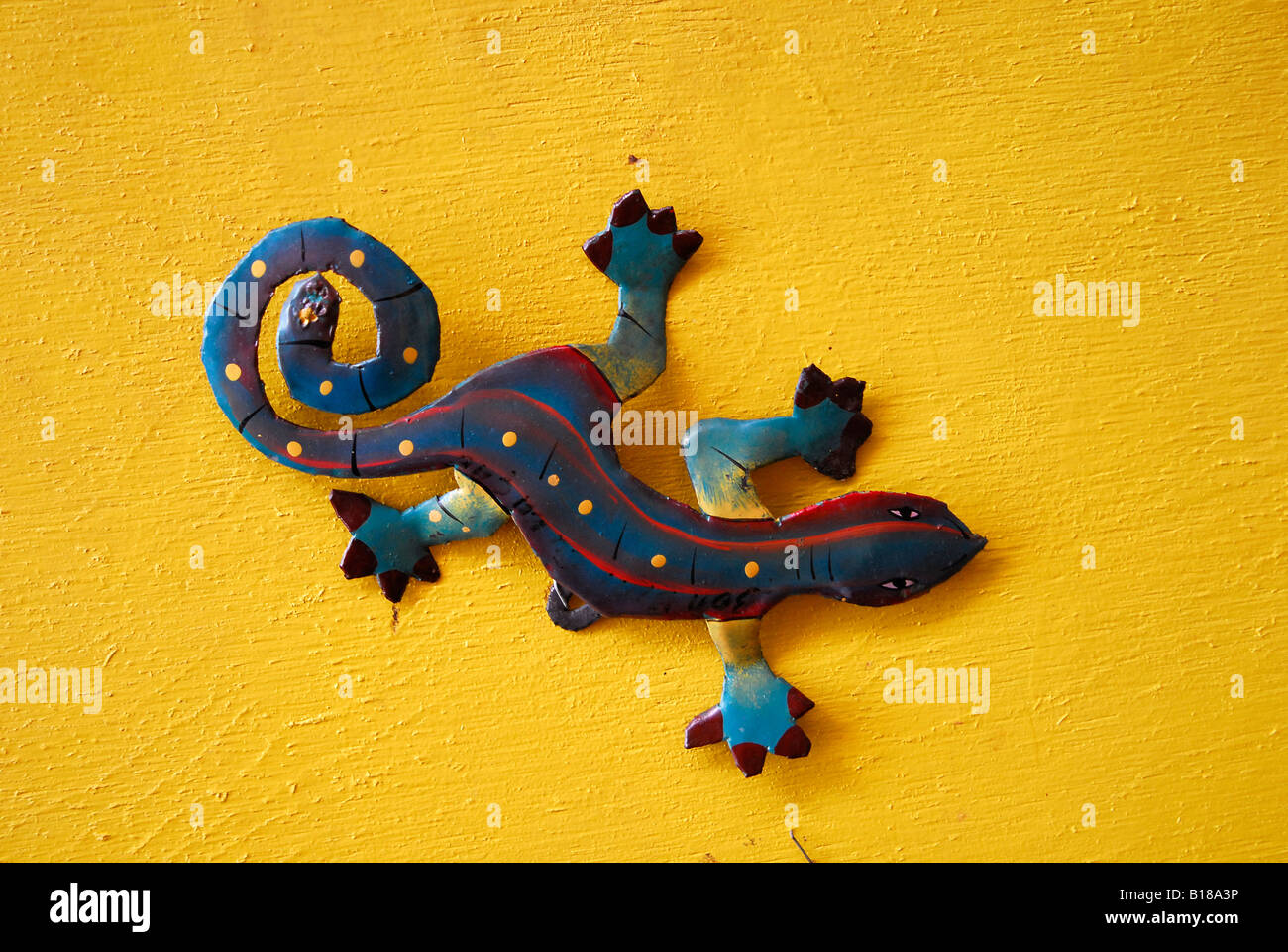 Gecko coloré Mer des Caraïbes Netherland Antilles Curacao Banque D'Images