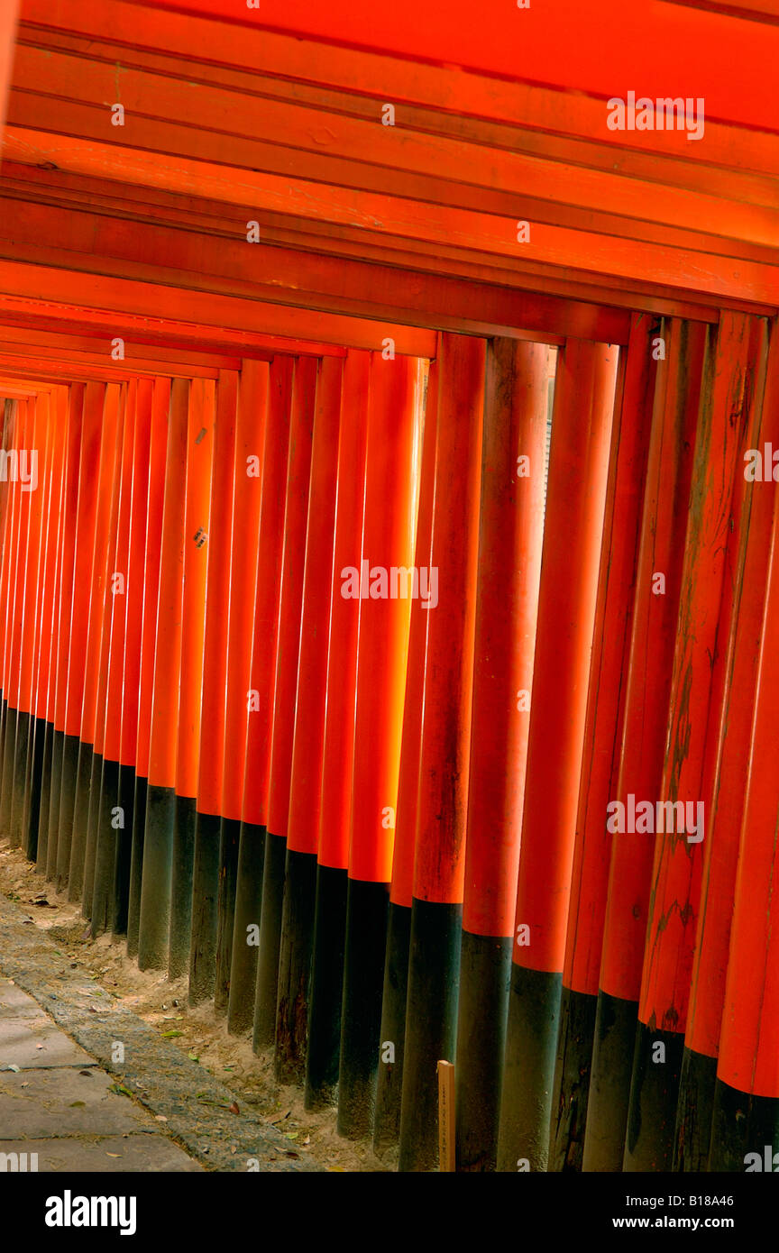 Torii gates Fushimi Inari Taisha Japon Honshu Kyoto Banque D'Images