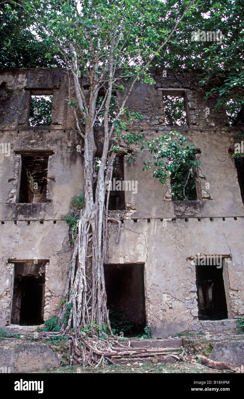 Ruines près de Hell Ville Maradoka, Nosy Be Madagascar Banque D'Images