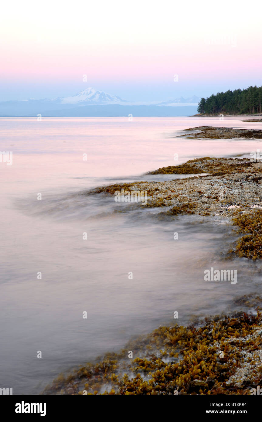Le mont Baker se profile au loin dans cette vue de l'île de chou dans la Réserve de parc national du Canada. Isl du golfe Banque D'Images