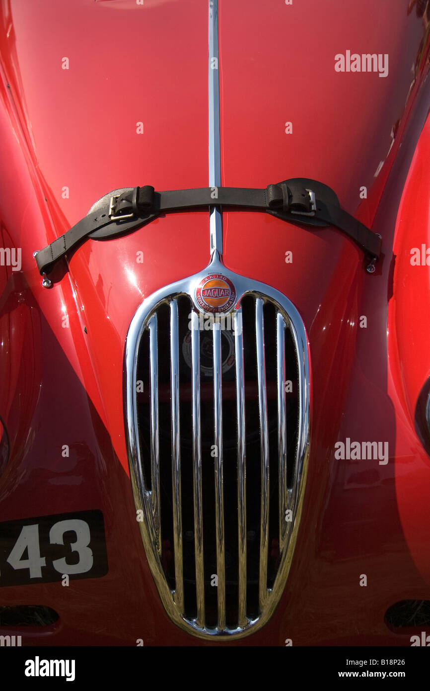 Grill d'une Jaguar XK 140 Roadster rouge Numéro 43 Banque D'Images