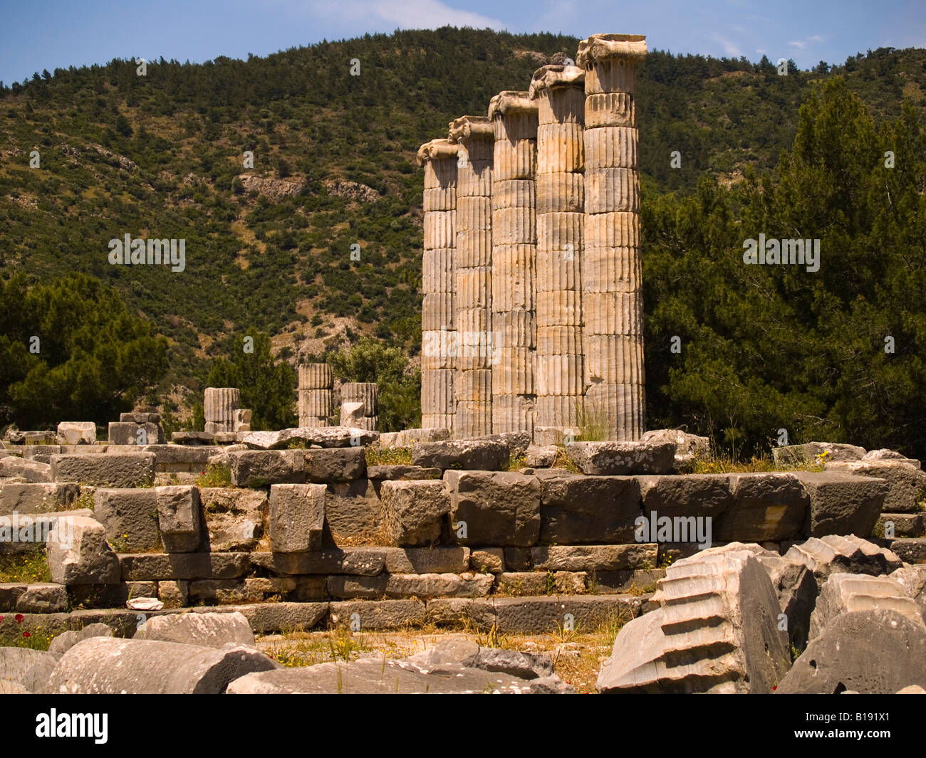Colonnes du temple d'Athéna, Priène, Turquie Banque D'Images
